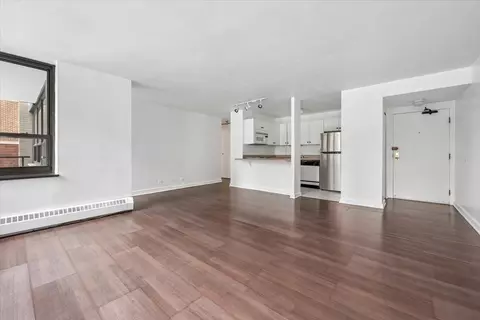 Living - 33 E Cedar St #7D, Chicago, IL 60611 photo 3 of 5