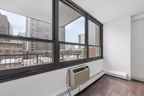 Other - 33 E Cedar St #7D, Chicago, IL 60611 photo 3 of 5