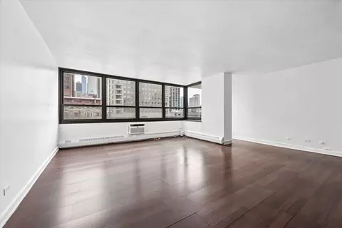Living - 33 E Cedar St #7D, Chicago, IL 60611 photo 1 of 5