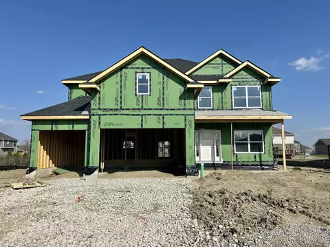 23039 Lakeview Estates Blvd, Frankfort, IL 60423