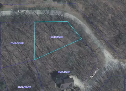 1302 Beech Ln, Dixon, IL 61021 photo 5