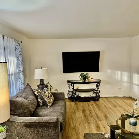 Living - Undisclosed, Matteson, IL 60443 photo 2 of 6
