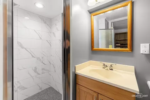 Bath - 1005 Meadow Ln, Elgin, IL 60123 photo 2 of 2