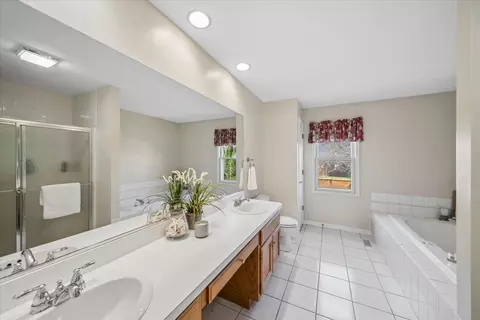 Bath - 1239 Thackery Ct, Naperville, IL 60564 photo 2 of 3