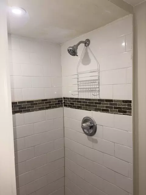 Bath - 16236 S Lathrop Ave, Markham, IL 60428 photo 1 of 3