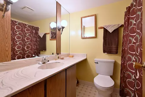Bath - 37 W208 Olwin Dr, Elgin, IL 60124 photo 3 of 4