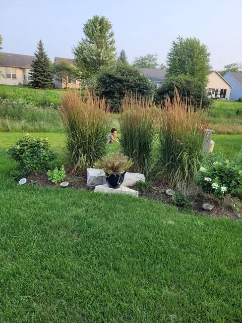 Exterior - 2497 Rolling Ridge Ln, Elgin, IL 60124 photo 6 of 6