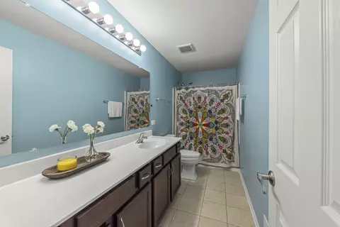 Bath - 14907 S Morgan Ln, Plainfield, IL 60544 photo 3 of 3