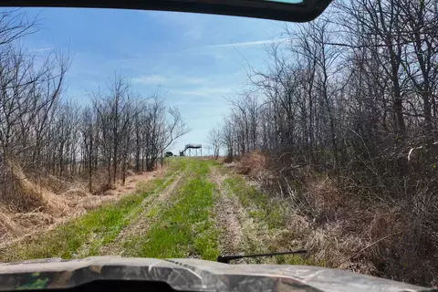191 Bruce Johnson Rd, Herod, IL 62947 photo 32