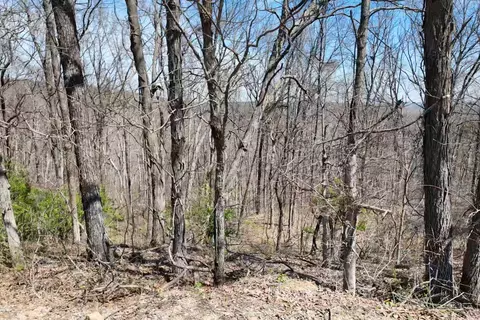 191 Bruce Johnson Rd, Herod, IL 62947 photo 26