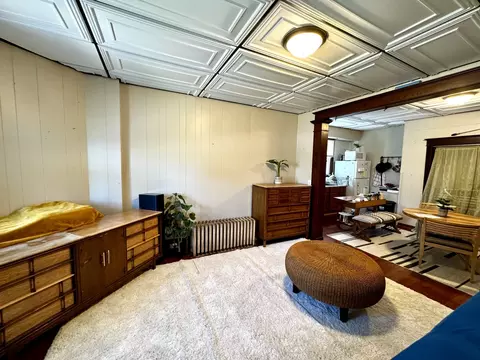 Living - 119 E Superior St, Ottawa, IL 61350 photo 2 of 6
