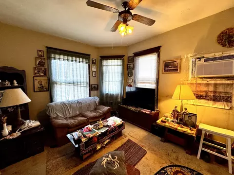 Living - 119 E Superior St, Ottawa, IL 61350 photo 5 of 6