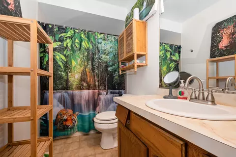 Bath - 928 E 153rd St, Phoenix, IL 60426 photo 2 of 2
