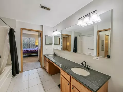 Bath - 3135 Town Square Dr #104, Rolling Meadows, IL 60008 photo 1 of 3