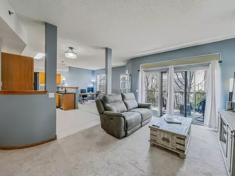 Living - 3135 Town Square Dr #104, Rolling Meadows, IL 60008 photo 1 of 4