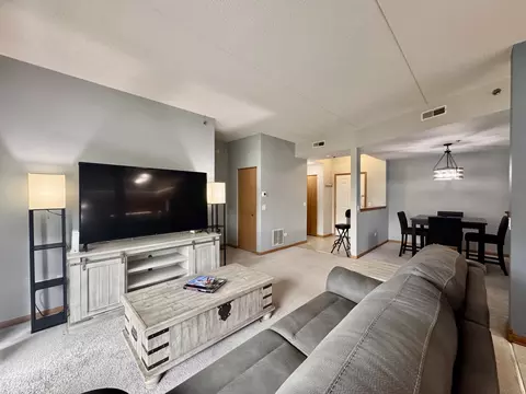 Living - 3135 Town Square Dr #104, Rolling Meadows, IL 60008 photo 4 of 4