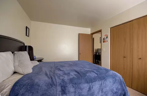 Bedroom - 14005 Danbury Dr, Plainfield, IL 60544 photo 4 of 6