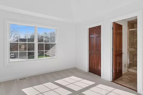 12929 Alpine Way, Plainfield, IL 60585 photo 31