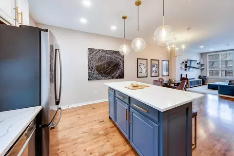 Kitchen - 49 E 23rd St, Chicago, IL 60616 photo 3 of 3