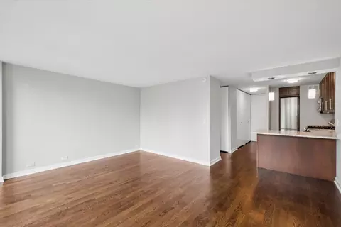 Living - 1 E Scott St #1112, Chicago, IL 60610 photo 4 of 4