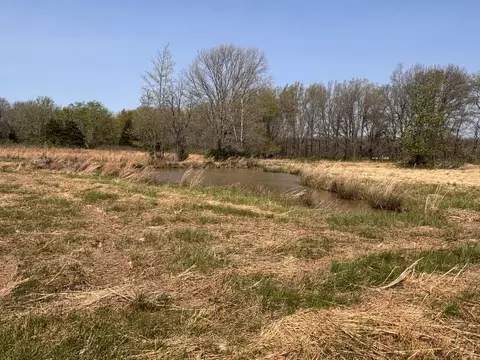 View/Area - 15662 E Nolan Rd, Mount Vernon, IL 62864 photo 1 of 1