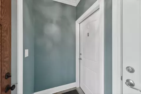 Entry Way - 1502 N Artesian Ave #1, Chicago, IL 60622 photo 1 of 5
