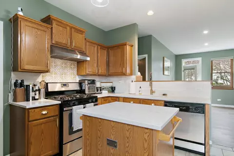 Kitchen - 100 S Constitution Dr, Aurora, IL 60506 photo 5 of 6