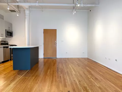 Living - 420 S Clinton St #110A, Chicago, IL 60607 photo 3 of 3