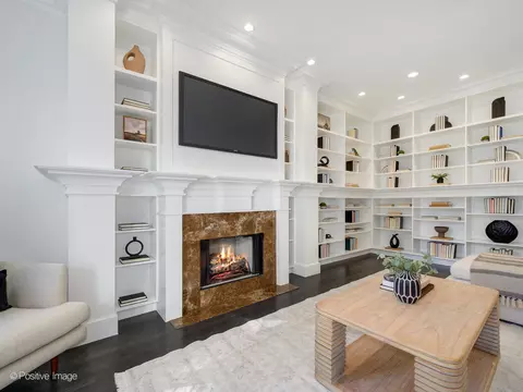 Living - 37 Elm St, Chicago, IL 60611 photo 5 of 8