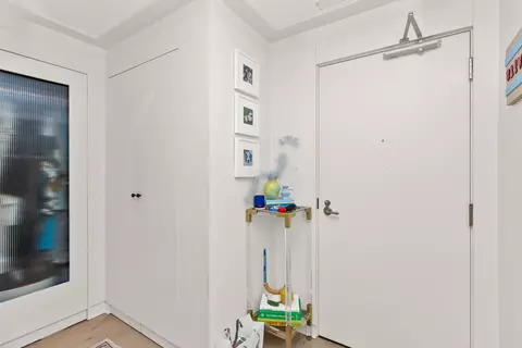 Entry Way - 10 E Delaware Pl #9C, Chicago, IL 60611 photo 1 of 1