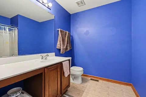 Bath - 14517 Meadow Ln, Plainfield, IL 60544 photo 3 of 4