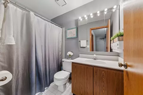 Bath - 1940 Tanglewood Dr, Algonquin, IL 60102 photo 3 of 3