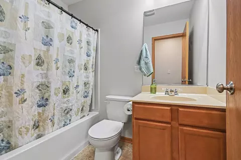 Bath - 3643 Daisy Ln, Elgin, IL 60124 photo 3 of 3