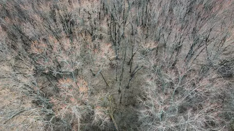lot2 Palm St, Mchenry, IL 60051 photo 5