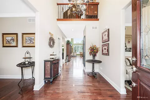 Entry Way - 21359 Saddle Ln, Mokena, IL 60448 photo 2 of 3