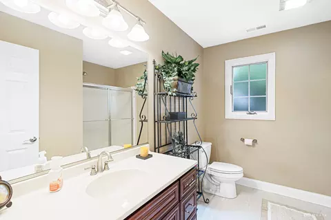 Bath - 21359 Saddle Ln, Mokena, IL 60448 photo 4 of 6