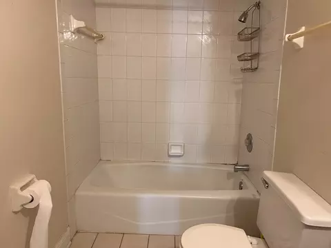 Bath - 9848 S Beverly Ave, Chicago, IL 60643 photo 5 of 6