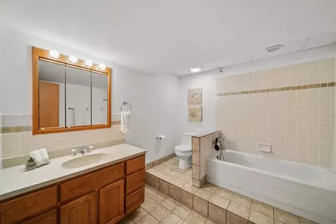 Bath - 2216 Olde Mill Rd, Plainfield, IL 60586 photo 3 of 3