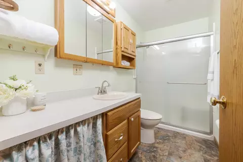 104 Susan Dr #A, Dwight, IL 60420 photo 20