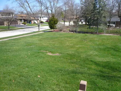 Exterior - Undisclosed, Midlothian, IL 60445 photo 8 of 10