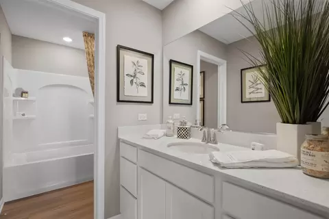 Bath - 14860 S Henebry Ln, Plainfield, IL 60544 photo 2 of 2