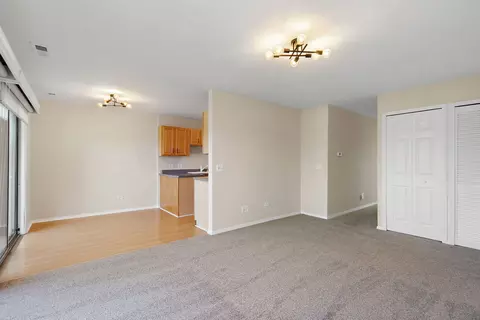 Living - 628 Mallard Ct #B2, Bartlett, IL 60103 photo 1 of 2