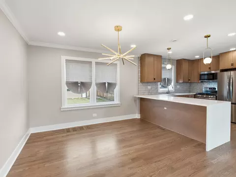 Other - 600 E 87th Pl, Chicago, IL 60619 photo 2 of 6