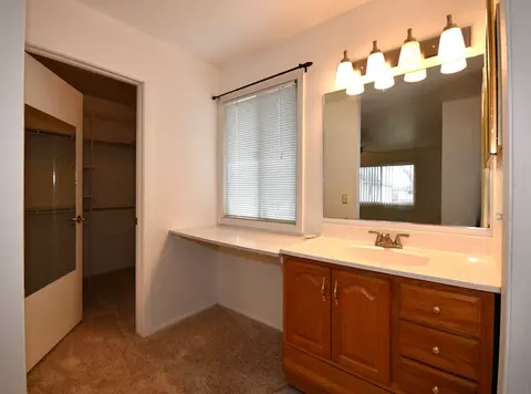 Bath - 358 Thistle Dr, Bolingbrook, IL 60490 photo 2 of 4