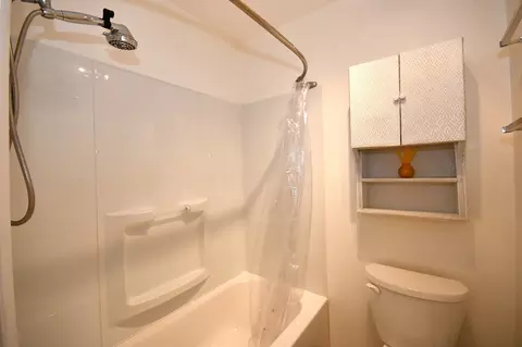 Bath - 358 Thistle Dr, Bolingbrook, IL 60490 photo 4 of 4