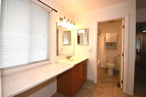 Bath - 358 Thistle Dr, Bolingbrook, IL 60490 photo 3 of 4