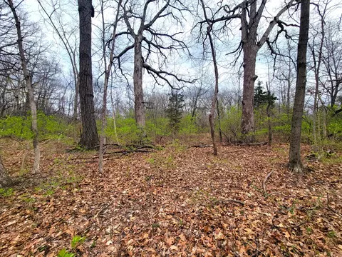 Other - 2569 E 22nd Rd, Marseilles, IL 61341 photo 2 of 15