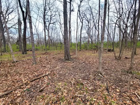 Other - 2569 E 22nd Rd, Marseilles, IL 61341 photo 13 of 15