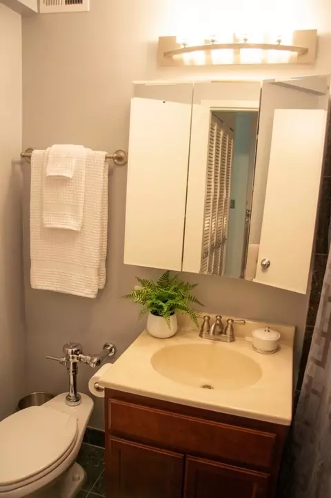 Bath - 222 E Pearson St #503, Chicago, IL 60611 photo 1 of 1