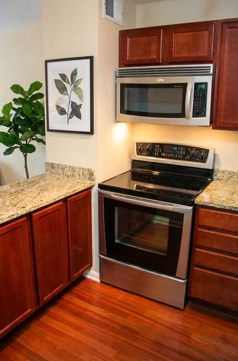 Kitchen - 222 E Pearson St #503, Chicago, IL 60611 photo 3 of 3